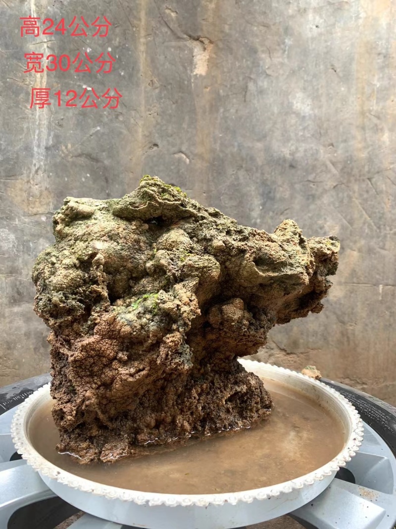 天然上水石吸水石盆景石假山奇石