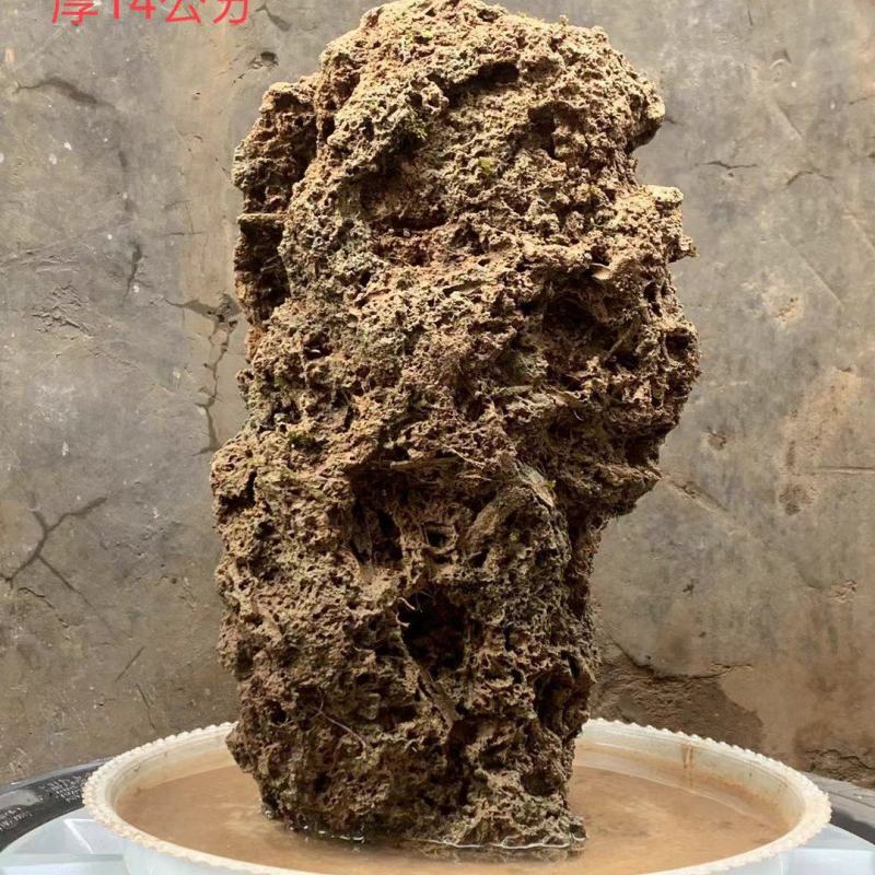 天然上水石吸水石盆景石假山奇石