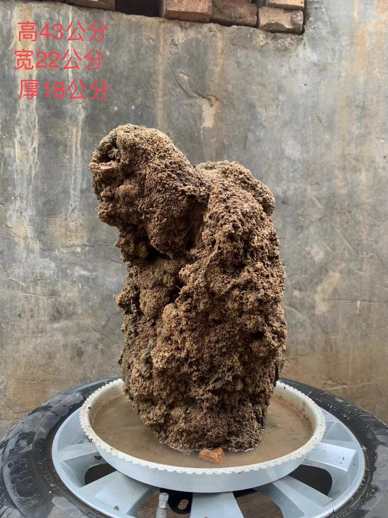 天然上水石吸水石盆景石假山奇石