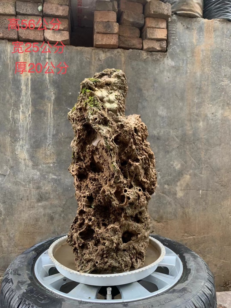 天然上水石吸水石盆景石假山奇石