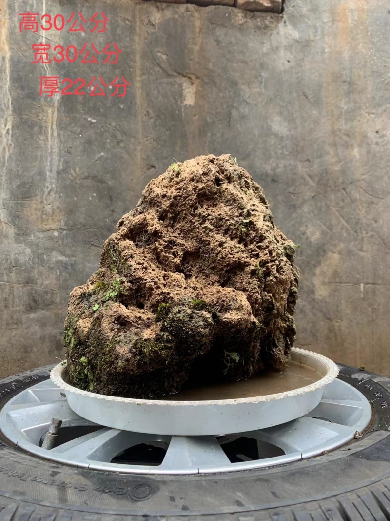 天然上水石吸水石盆景石假山奇石