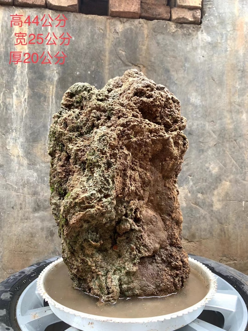天然上水石吸水石盆景石假山奇石