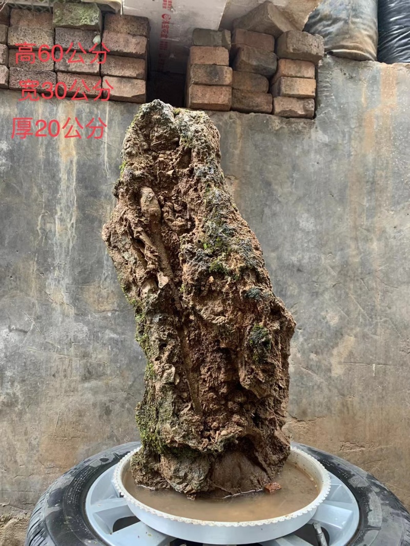 天然上水石吸水石盆景石假山奇石