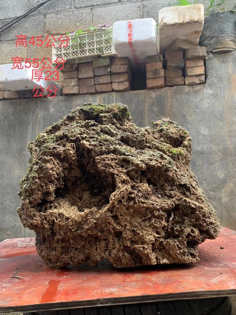 天然上水石吸水石盆景石假山奇石