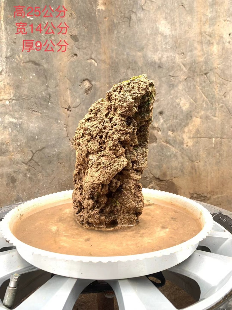 天然上水石吸水石盆景石假山奇石