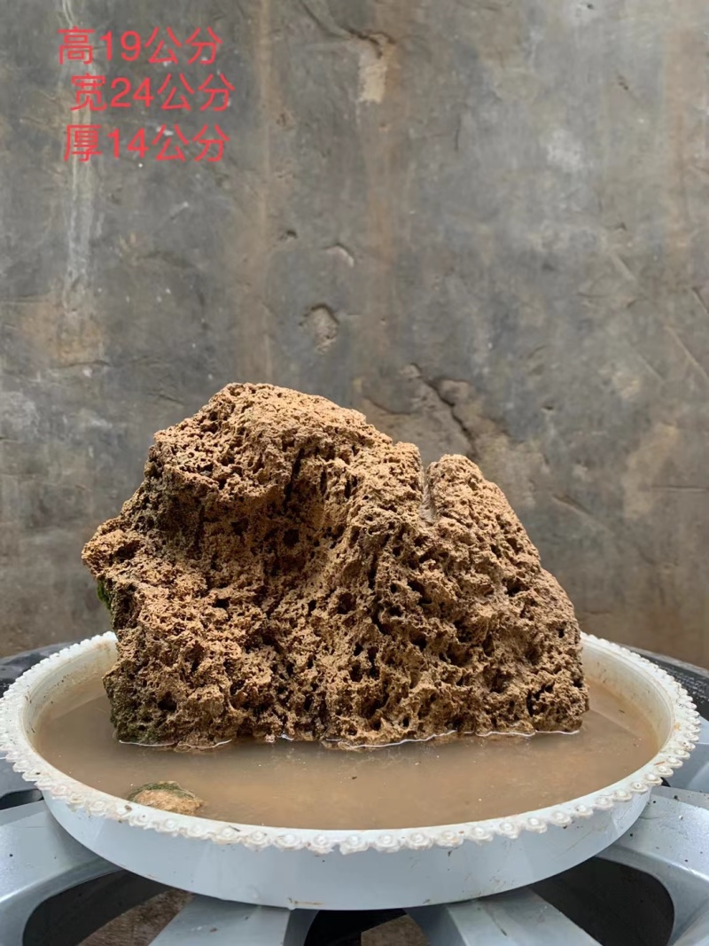 天然上水石吸水石盆景石假山奇石