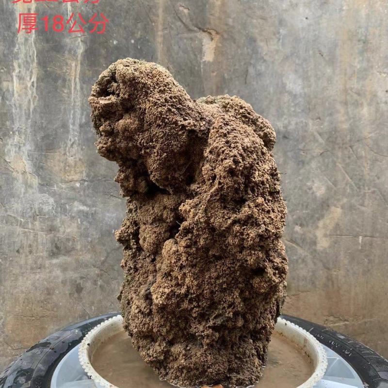 天然上水石吸水石盆景石假山奇石