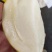 黄晶果