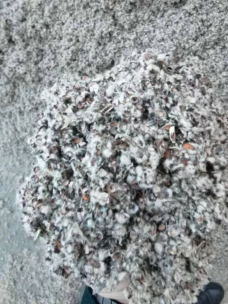 新疆棉籽壳一手货源中壳中绒保证质量全国发货