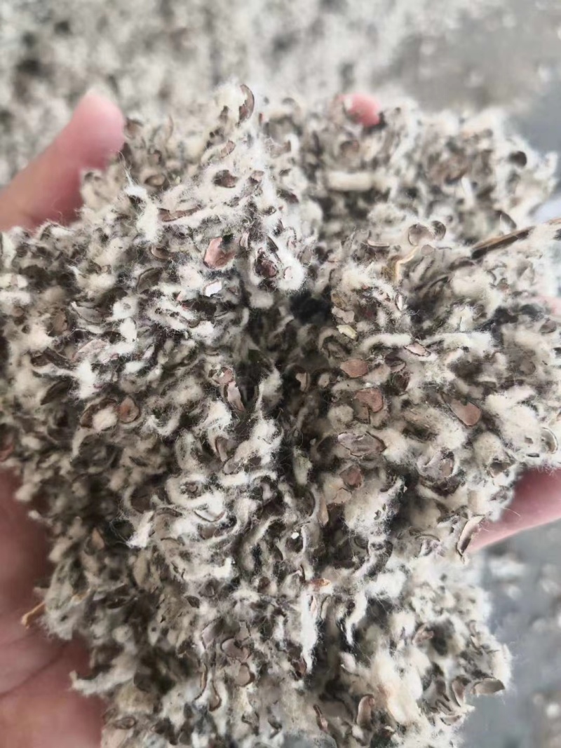 新疆棉籽壳一手货源中壳中绒保证质量全国发货