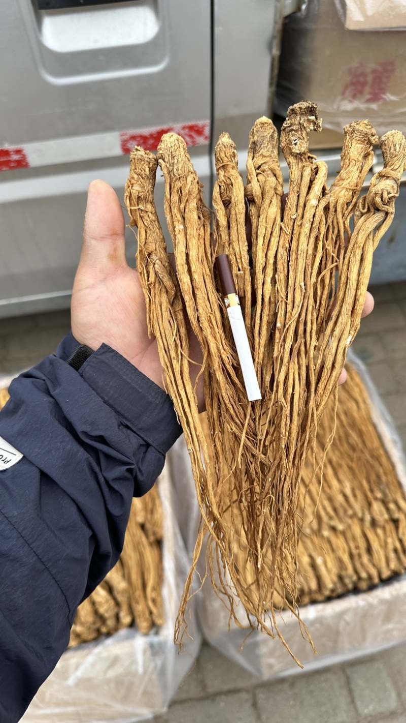 甘肃岷县黄当归。带硫岷县货。规格齐全。量大从优品质无忧。