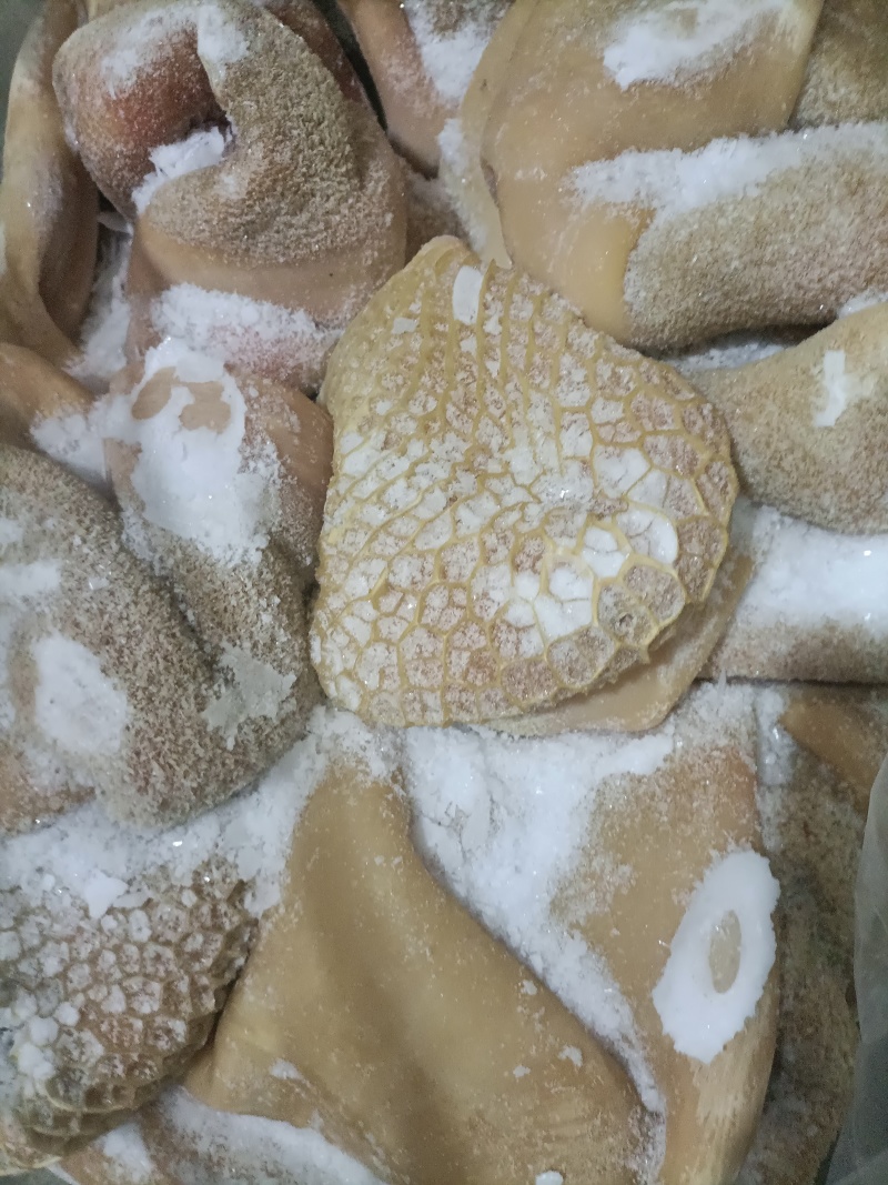 熟牛肚，水退去毛，九成熟的，纯干货。出成率高