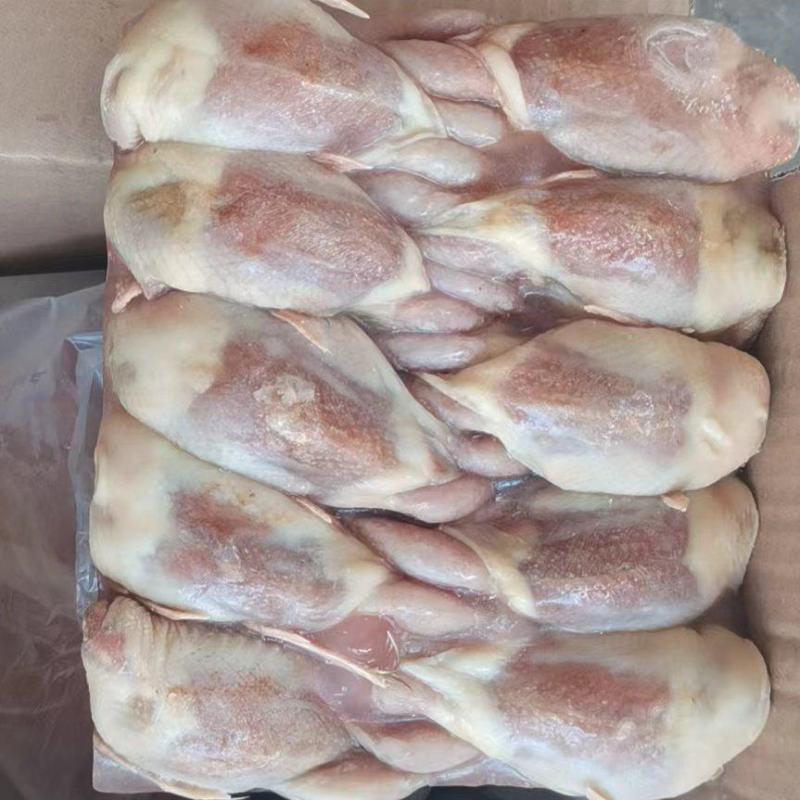 鹌鹑有现货净毛度好烧烤鹌鹑串货源稳定价格低