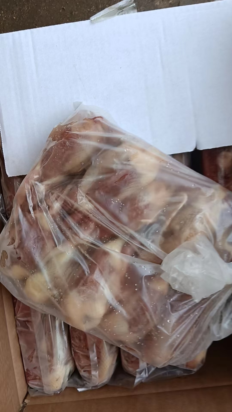 鹌鹑有现货净毛度好烧烤鹌鹑串货源稳定价格低