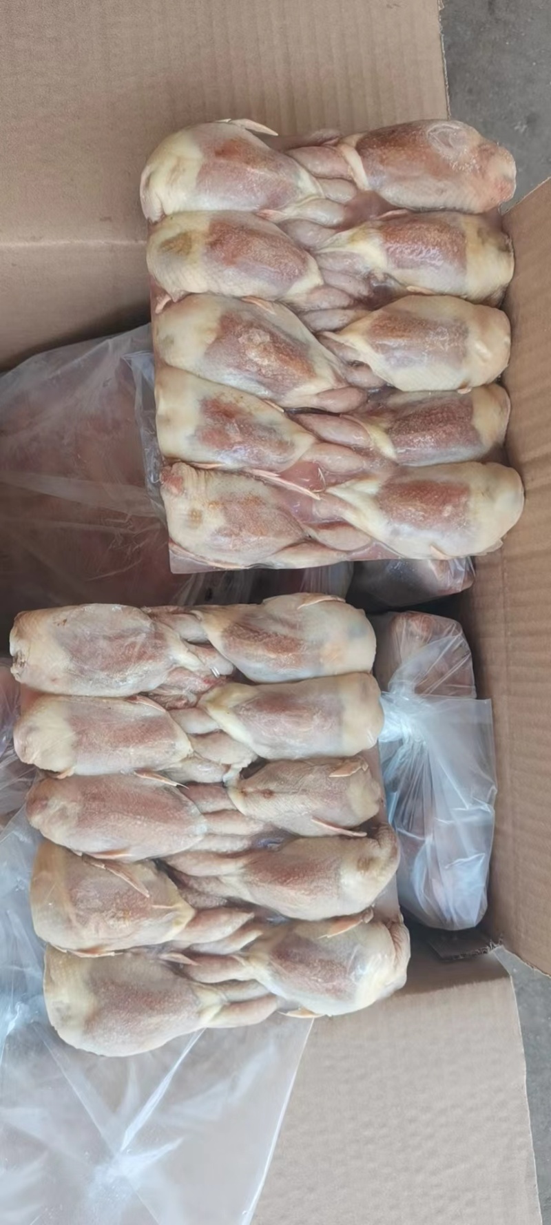 鹌鹑有现货净毛度好烧烤鹌鹑串货源稳定价格低