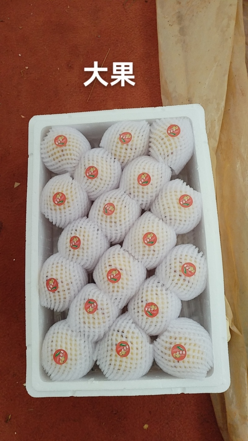 石林人参果，大果，特大果，按规定装货，新上市的果，