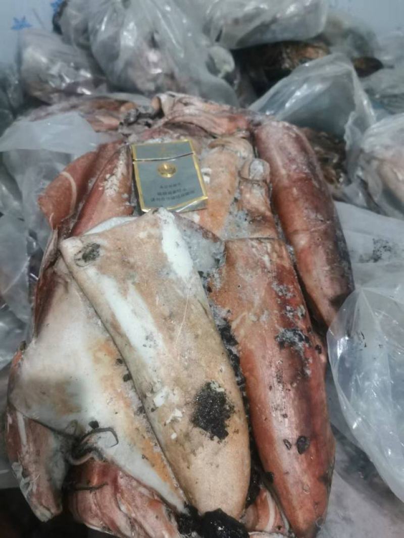 红鱿鱼肉质鲜美细腻口感佳货量有限先到先得欢迎选