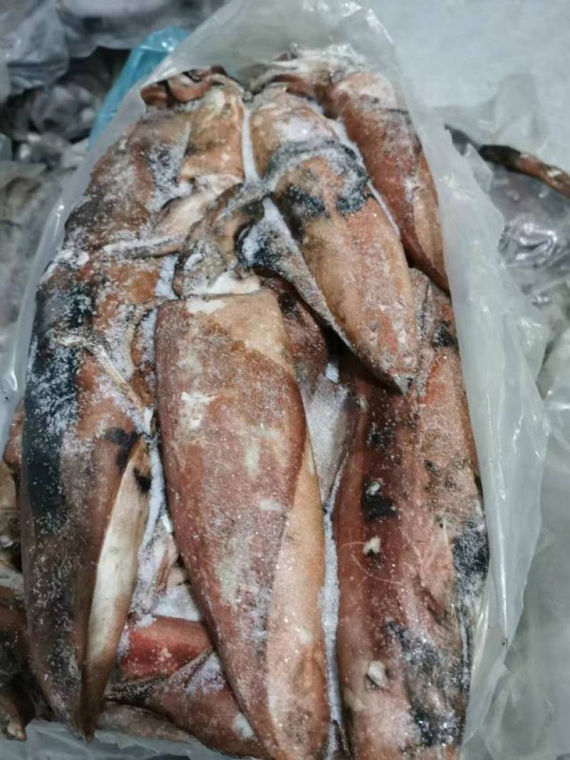 红鱿鱼肉质鲜美细腻口感佳货量有限先到先得欢迎选