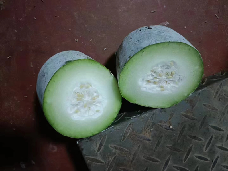 水果冬瓜，基地发货，一手货源，保质保量