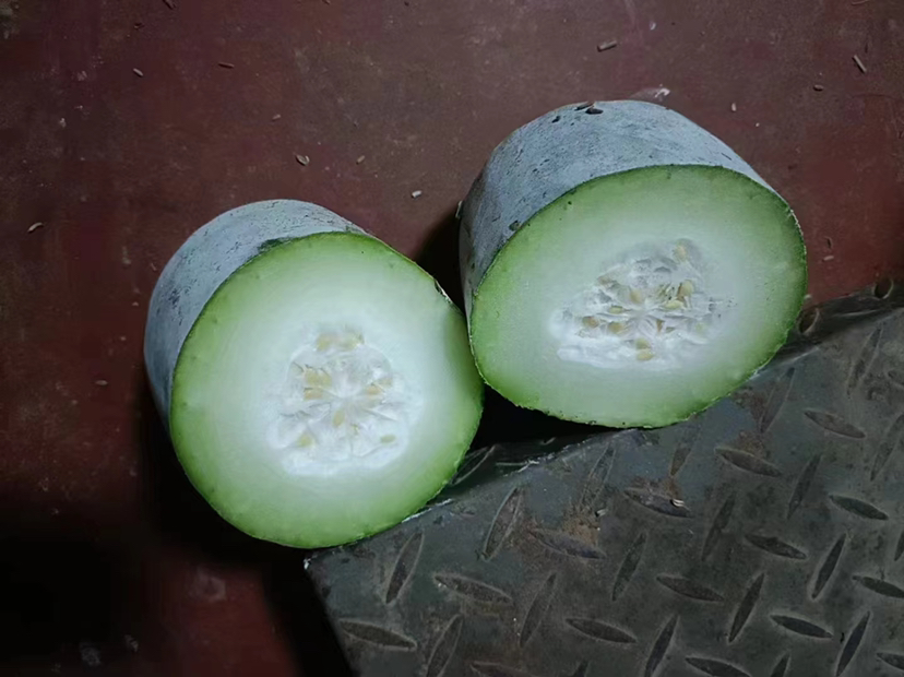 冬瓜剖面图