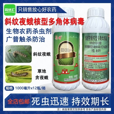 湖南泽丰领锋斜纹夜蛾核型多角体病毒玉米甘蓝草地贪夜蛾杀虫
