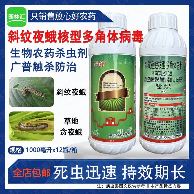 湖南泽丰领锋斜纹夜蛾核型多角体病毒玉米甘蓝草地贪夜蛾杀虫
