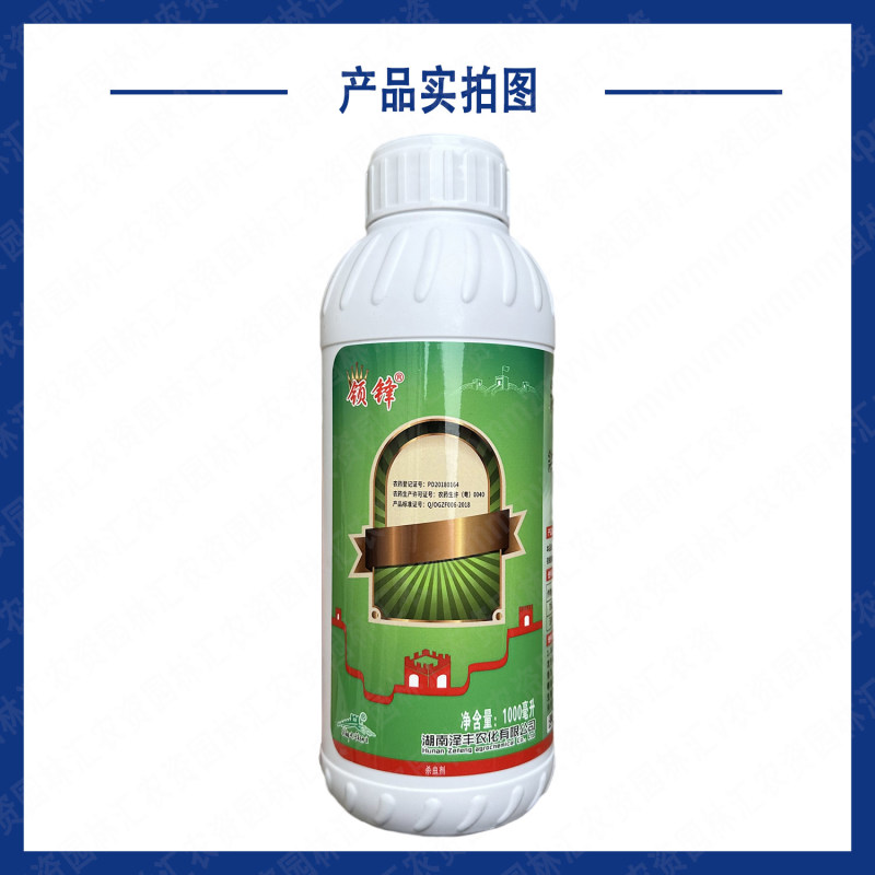 湖南泽丰领锋斜纹夜蛾核型多角体病毒玉米甘蓝草地贪夜蛾杀虫