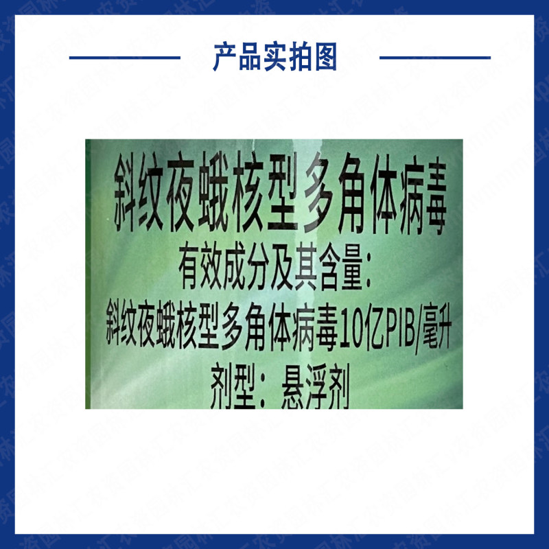 湖南泽丰领锋斜纹夜蛾核型多角体病毒玉米甘蓝草地贪夜蛾杀虫