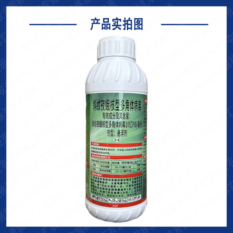 湖南泽丰领锋斜纹夜蛾核型多角体病毒玉米甘蓝草地贪夜蛾杀虫