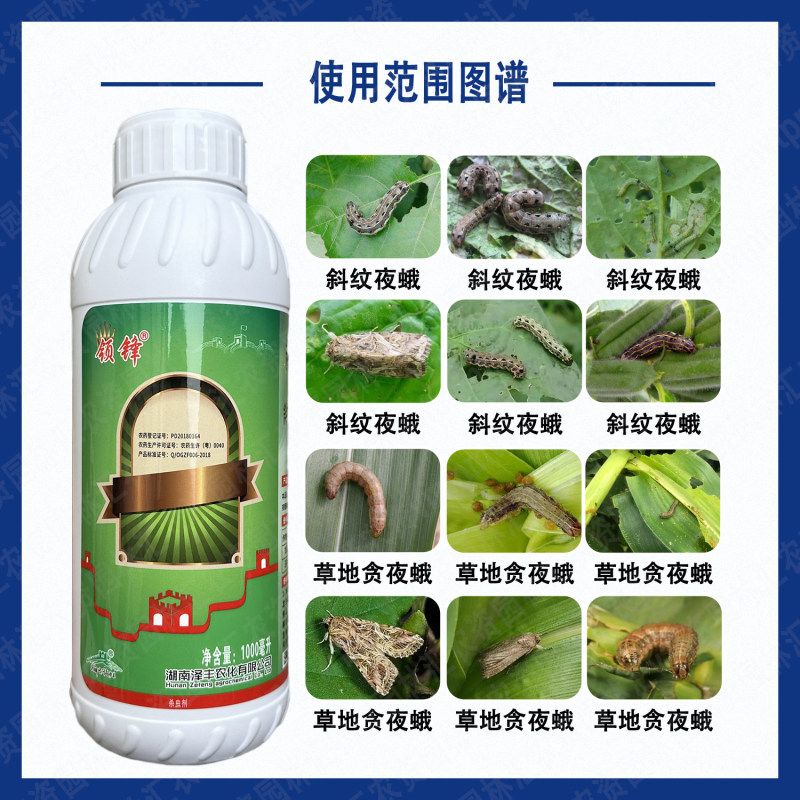 湖南泽丰领锋斜纹夜蛾核型多角体病毒玉米甘蓝草地贪夜蛾杀虫