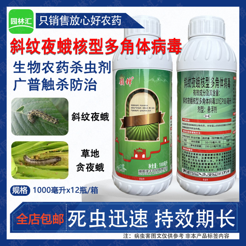 湖南泽丰领锋斜纹夜蛾核型多角体病毒玉米甘蓝草地贪夜蛾杀虫