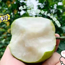 皇冠梨