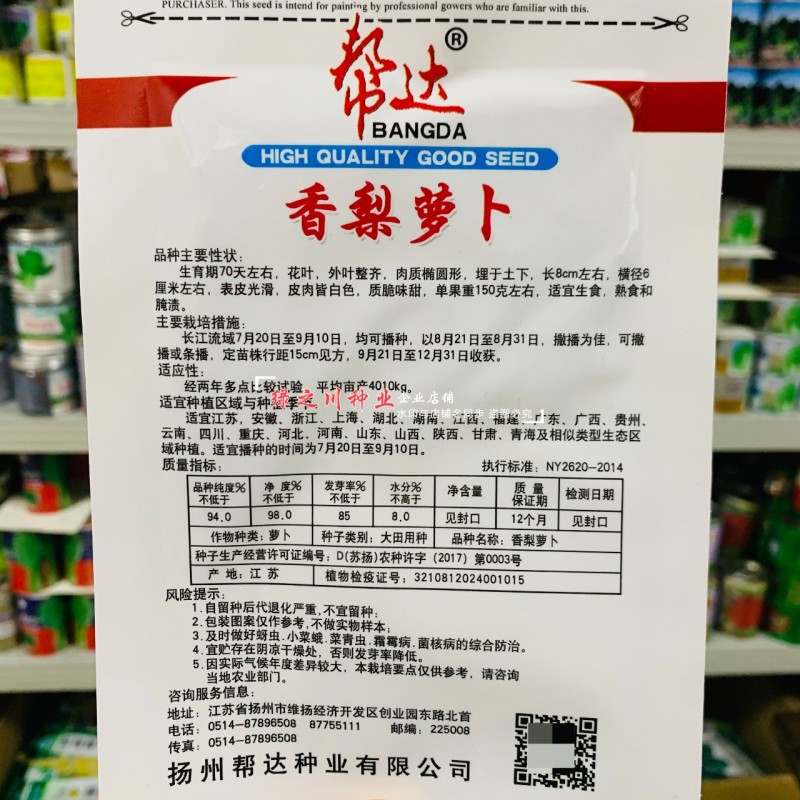 口感脆甜白萝卜种子新品种白皮白肉萝卜种子秋季萝卜籽