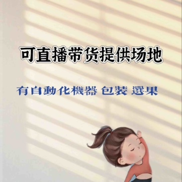 秋月梨一件代发整车团购精品礼盒🎁