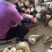 华安本地当季新鲜现挖九龙江边沙地麻竹笋