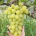 青提