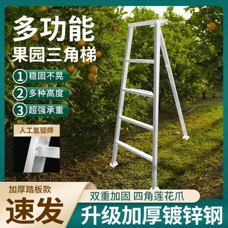 三脚特厚果园镀锌采摘修剪梯子园林专用梯三角梯加厚折叠梯园