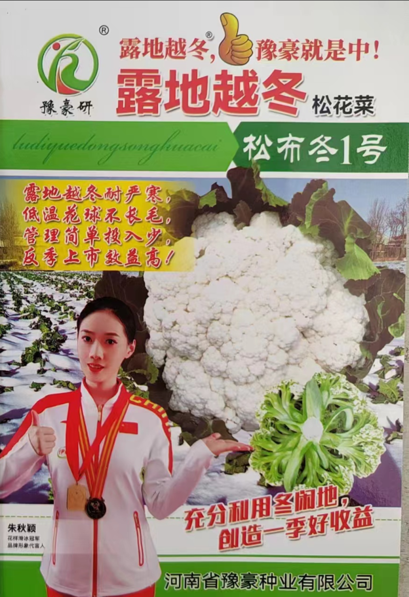 白玉矮脚88天春秋优质