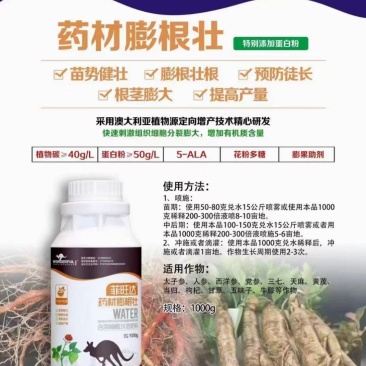 药材专用药材膨根壮膨根壮根膨大块茎增加块茎重量