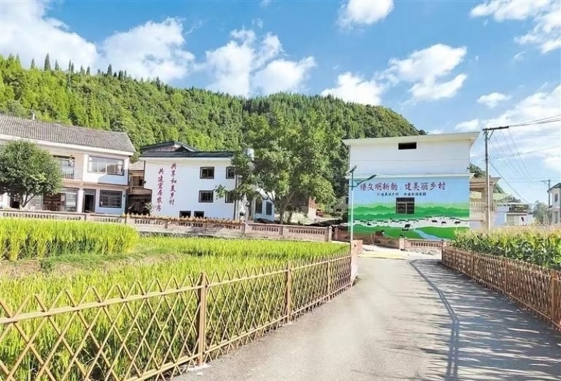新农村建设不锈钢仿竹护栏草坪绿化菜园围栏景区仿真竹节篱笆