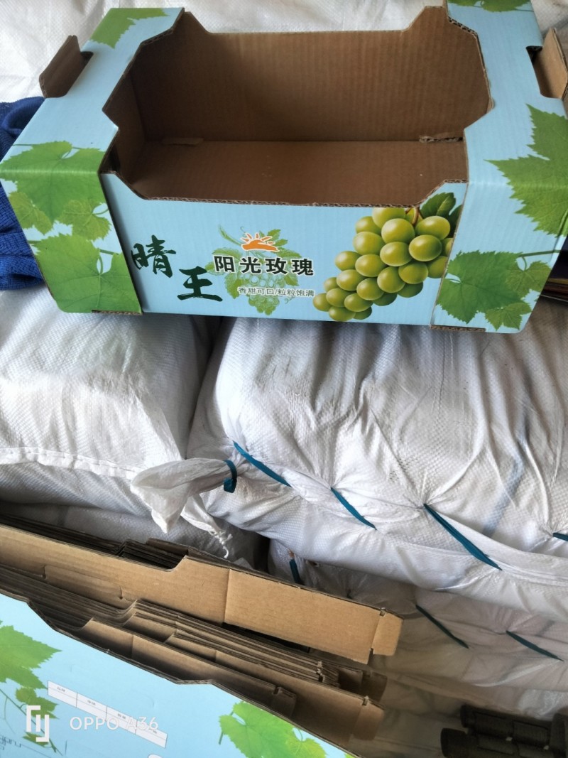 青岛莱西市葡萄产区阳光玫瑰大量收货，价格从3元到13都有