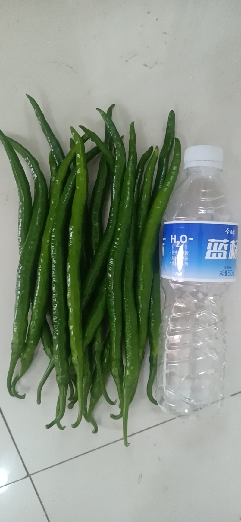 三号线椒