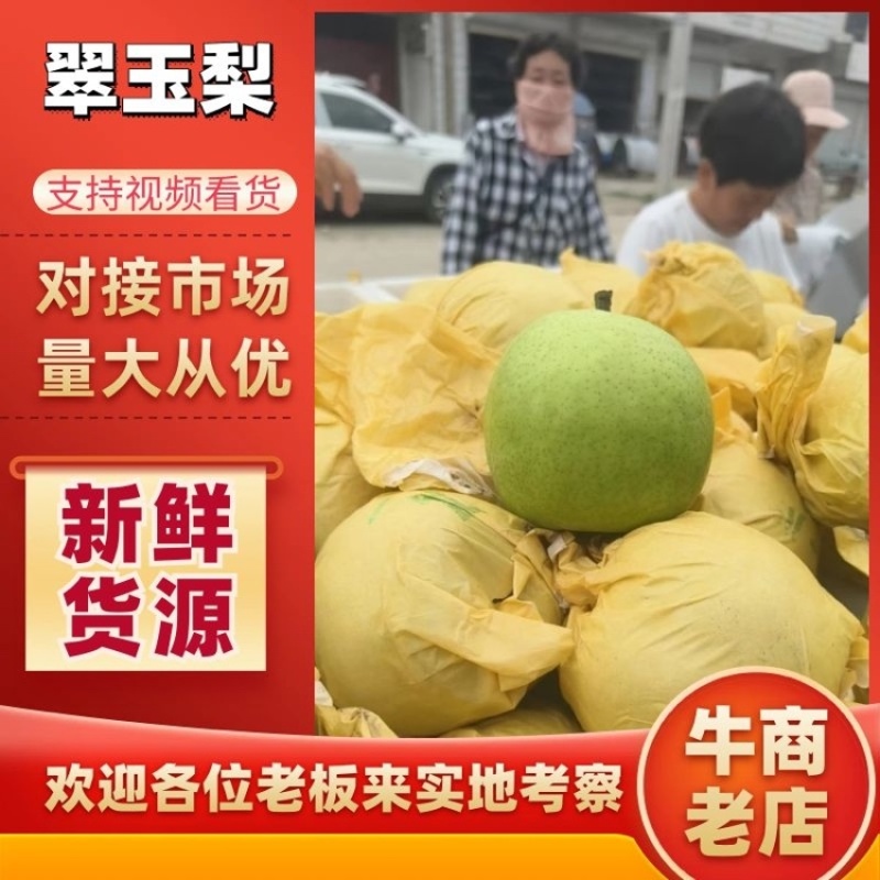 翠玉梨大量上市品质保证支持视频看货欢迎各位客商选购