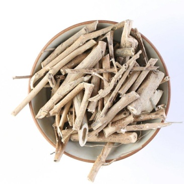 中药材颠茄