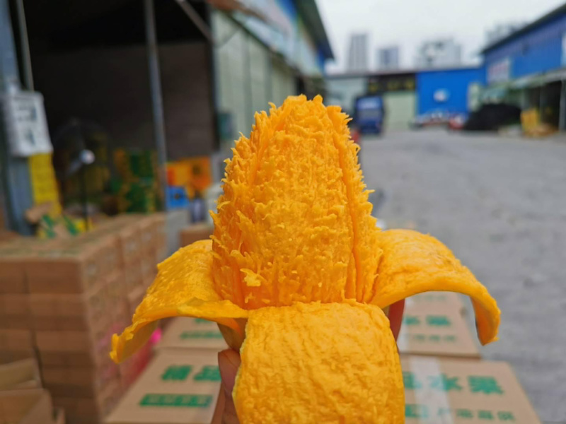 广西百色大台农芒果礼盒装产地直发一件代发包邮欢迎订购