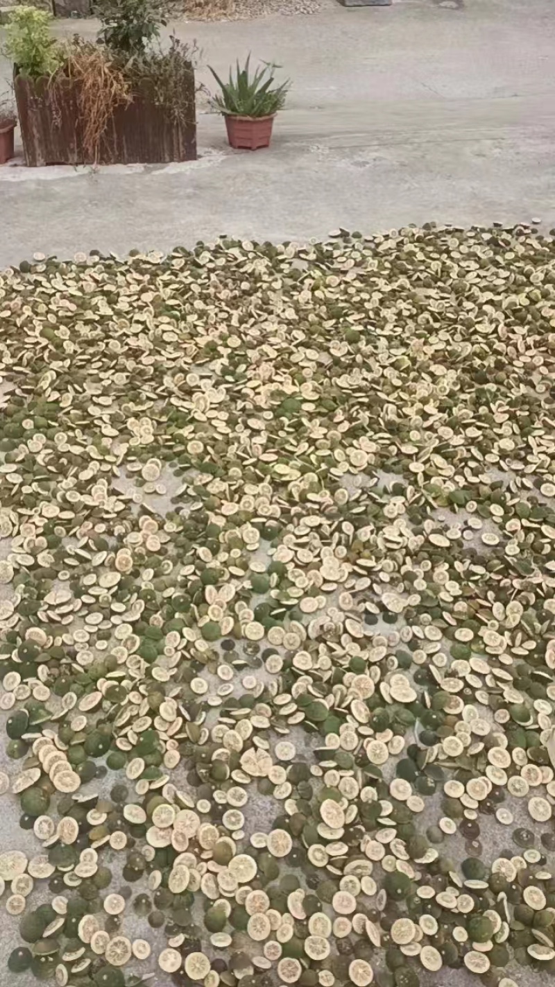 推荐青胡柚片自家货源质量保证量大价优欢迎来电