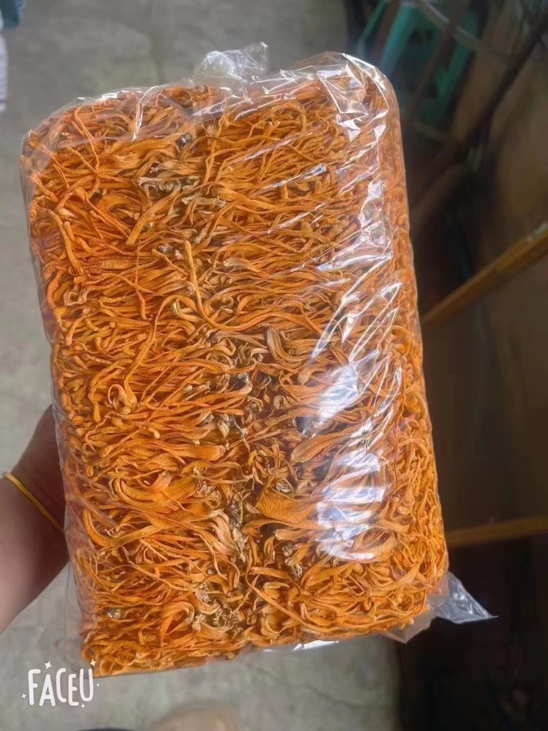 虫草花一手货源价格便宜