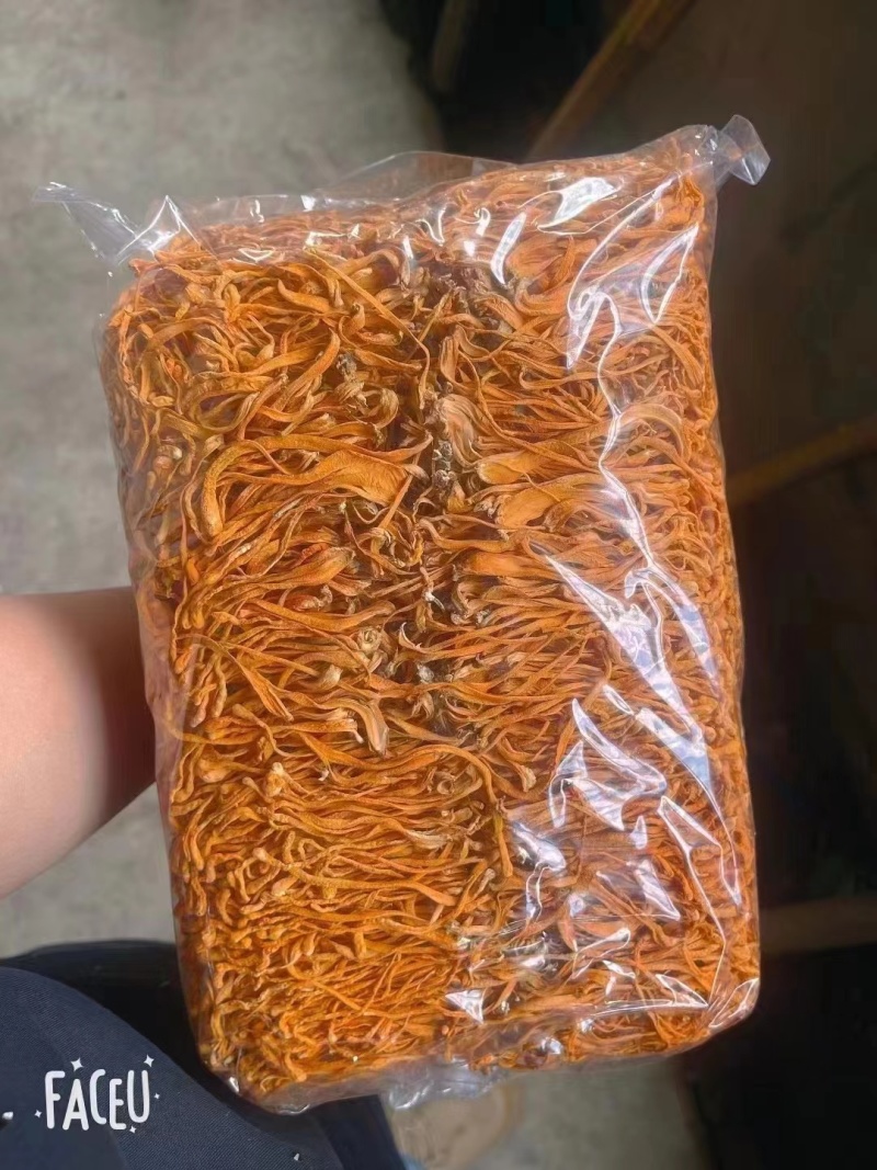 虫草花一手货源价格便宜