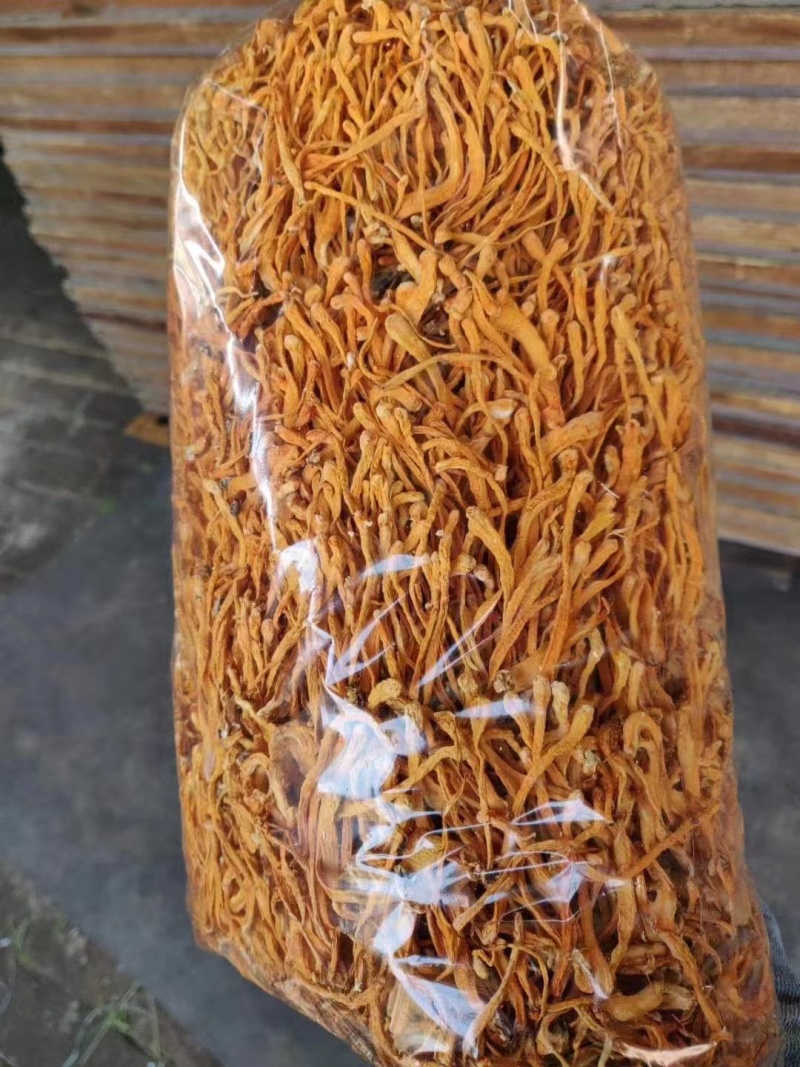 虫草花一手货源价格便宜
