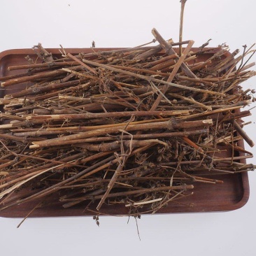 藏茵陈